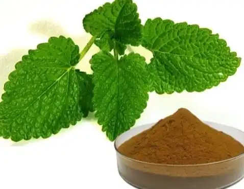 How to Source Melissa Officinalis Extract from China?